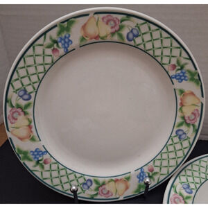 BOTANICA by Signature Salad Plates Stoneware Fruit Pattern Set of 2